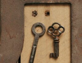 What Design Elements Make a Website Mobile-friendly?